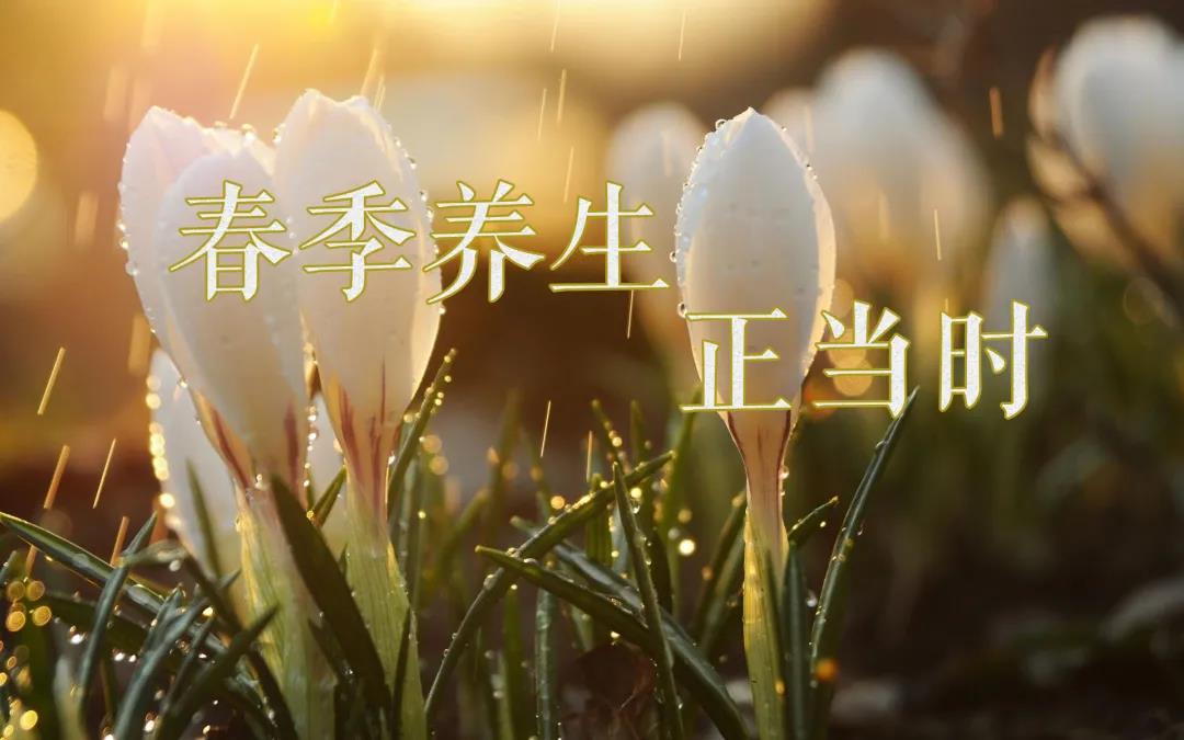春天艾灸，陽上增陽，這些技巧別錯過！