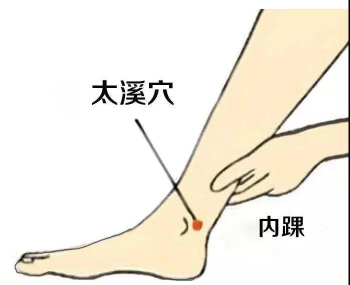 護腎養腎？這六大穴位就夠了！