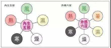 艾灸后，寒氣和濕氣去哪了？
