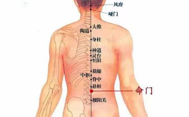 命門火衰影響人體生老病衰？命門穴有何神奇，竟決定生命的元陽盛衰？